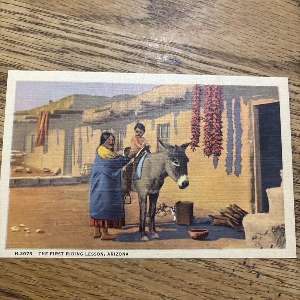 Postcard Fred Harvey - First Riding Lesson in Arizona - Native American